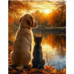 Chat et chien soir