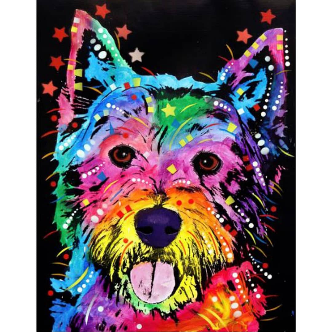 Westie bariolé