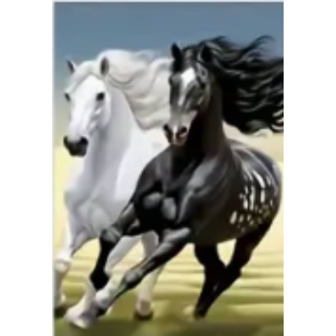 Chevaux blancs et noirs