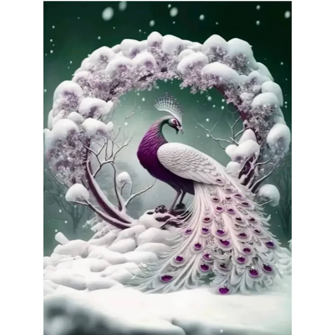 Paon neige rose et blanc