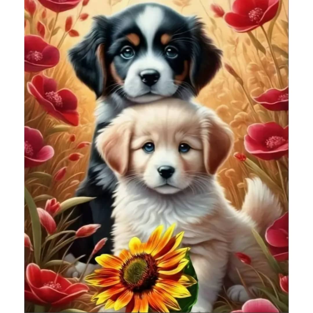 2 Chiots coquelicots