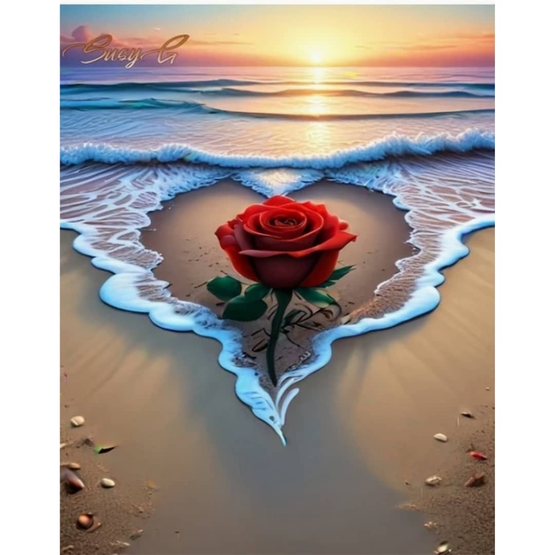Soir,rose coeur d'écume