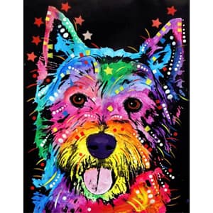 Westie bariolé