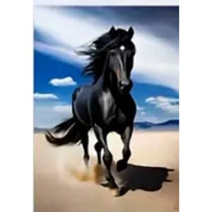 Cheval noir sable