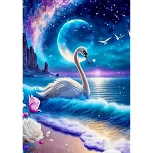 Cygne nuit vagues