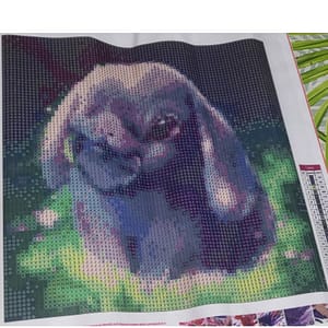 Petit lapin