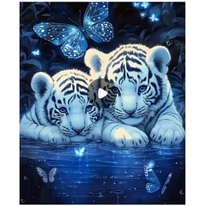 2 Tigrous blanc nuit