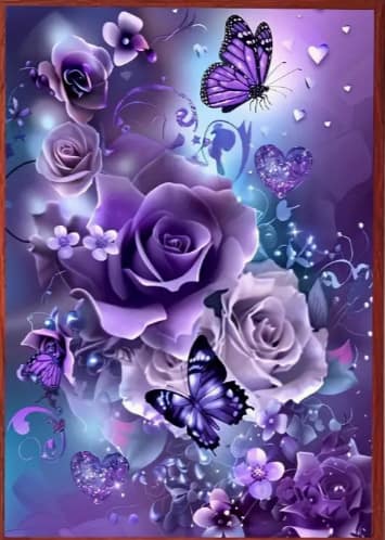 Roses papillons mauves