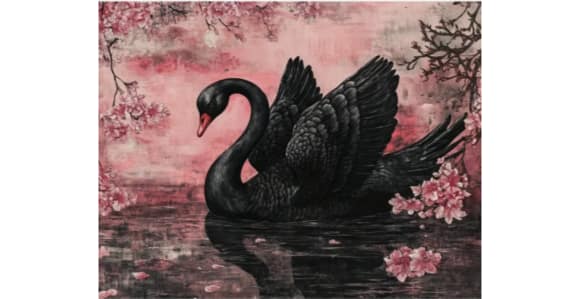 Cygne noir