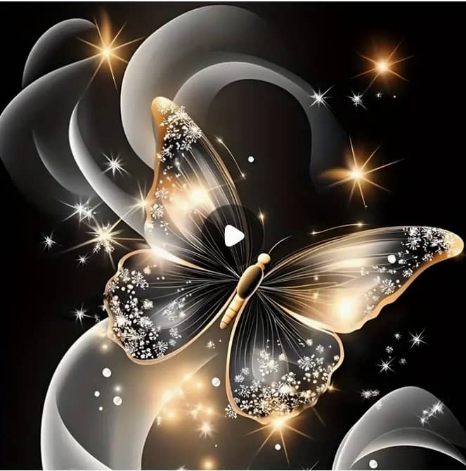 Papillon de cristal nuit